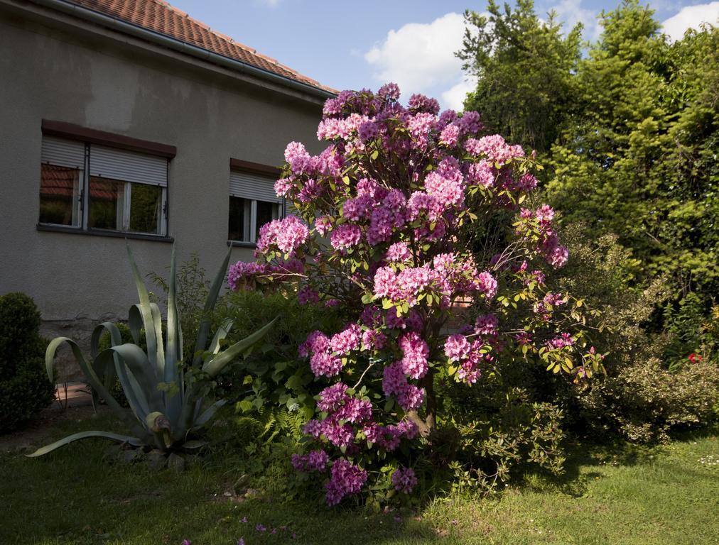 Guest House Kapetanova Kuca Krizevci Luaran gambar